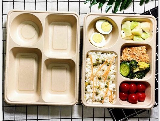 Jednorazowe pudełko na lunch z czterema siatkami, biodegradowalne pudełko na lunch na wynos