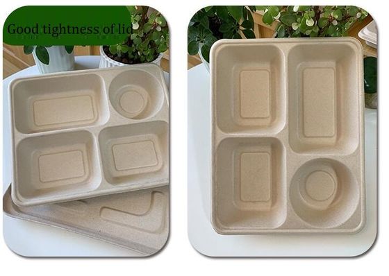 Jednorazowe pudełko na lunch z czterema siatkami, biodegradowalne pudełko na lunch na wynos
