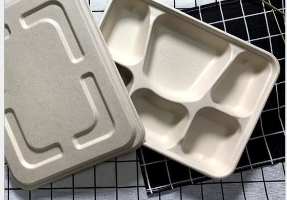 FDA 6 przegródek Degradowalna zastawa stołowa Jednorazowe pudełko na lunch ze słomy pszennej
