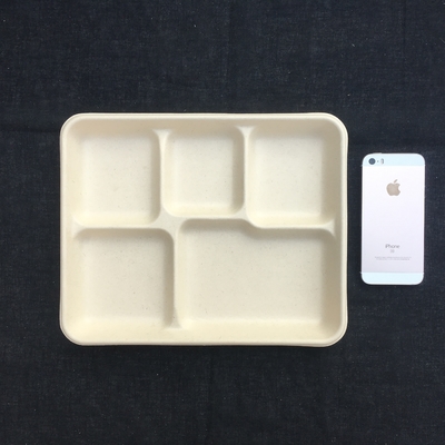 Kompostowalne 8-calowe jednorazowe pudełko na lunch z trzciną cukrową na wynos 2 3 4 5 przegródek