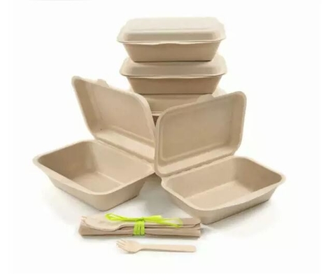 Biodegradowalny prostokąt z trzciny cukrowej Jednorazowe pudełko na lunch do pojemników na żywność na wynos