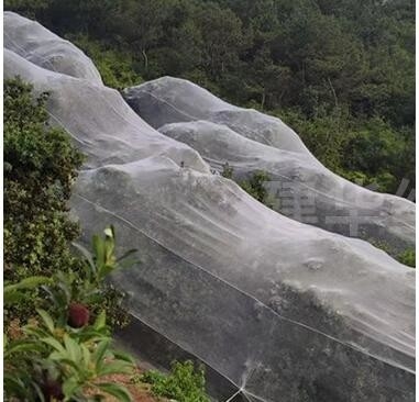 Plastic bird-proof net PE powiększone zagęszczone szklarniowe sieci hodowlane rolnicze sieci winniczowe insect-proof net