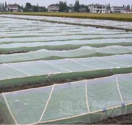 Plastic bird-proof net PE powiększone zagęszczone szklarniowe sieci hodowlane rolnicze sieci winniczowe insect-proof net
