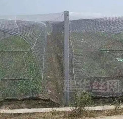 40 50 60 Mesh 125g Rolnictwo Szklarnia Sieć przeciw owadom z dopuszczalnym drukiem