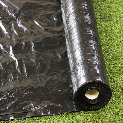 Srebro Czarne 25um/30um/35um UV Mulch Plastic Film for Agriculture